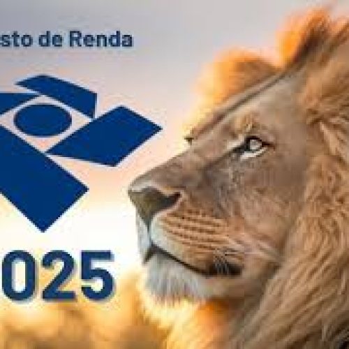 Quem Precisa Declarar o Imposto de Renda em 2025?