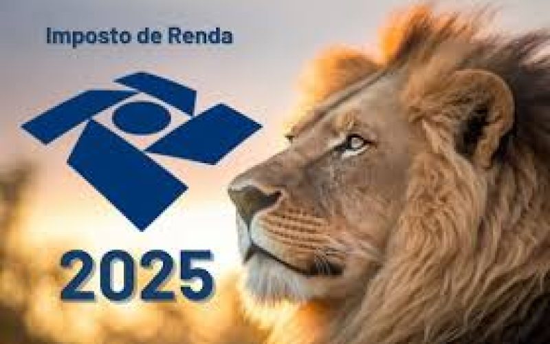 Quem Precisa Declarar o Imposto de Renda em 2025?