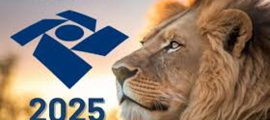 Quem Precisa Declarar o Imposto de Renda em 2025?